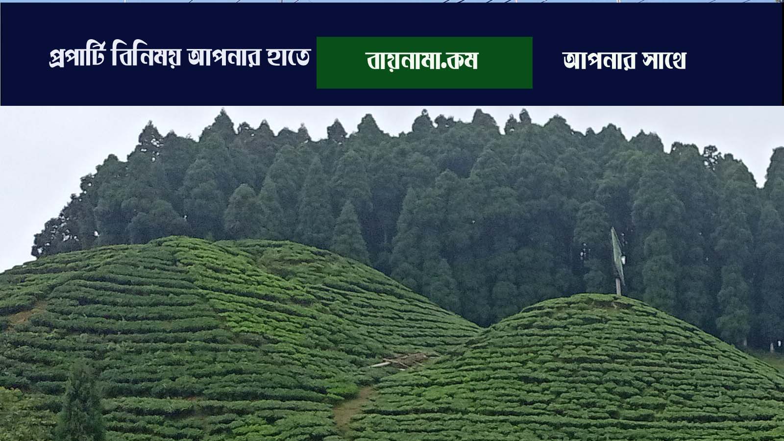 প্রকল্প